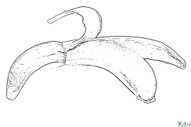 faʻi Itulau Lanu Lolomi